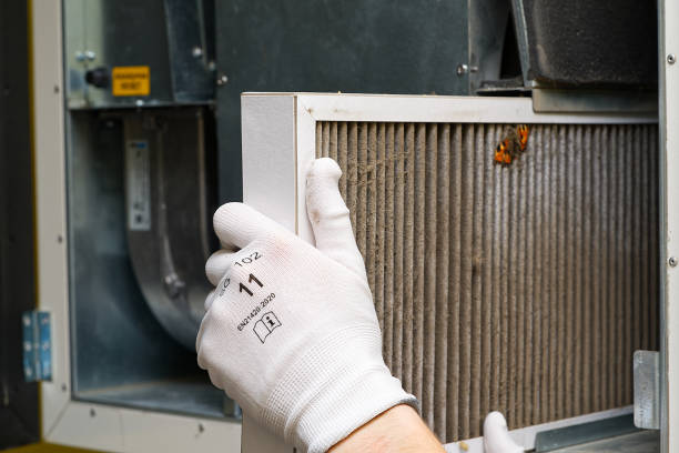 Best Dryer Vent Cleaning Services  in Ashburn, VA